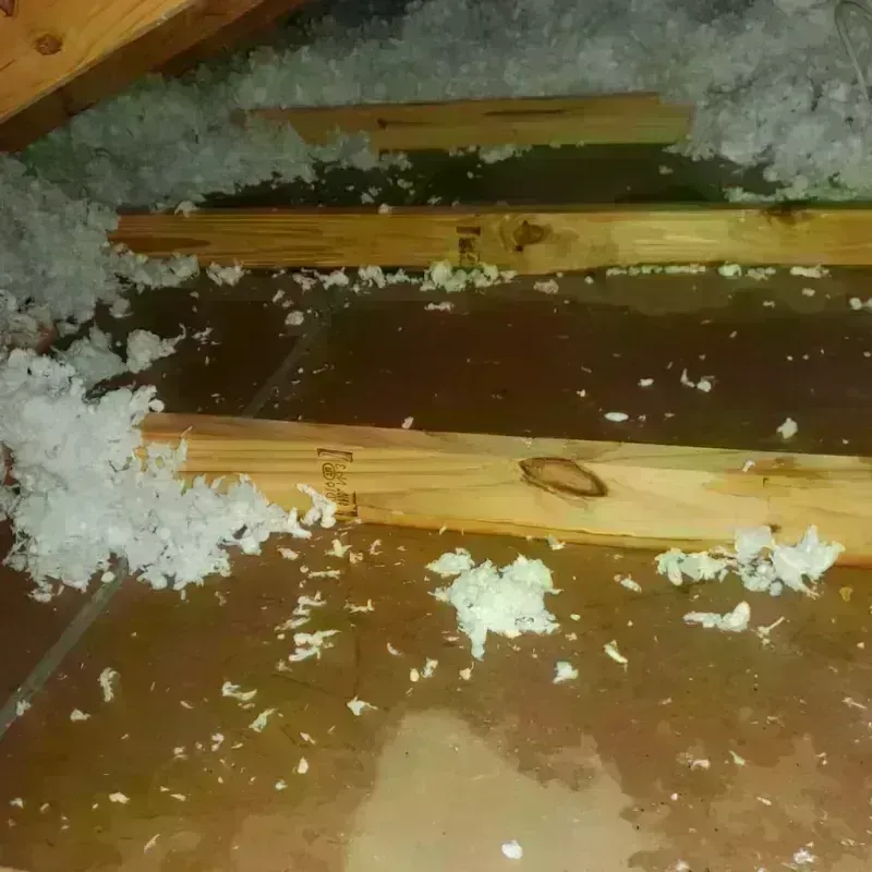 Attic Water Damage in Cheney, WA