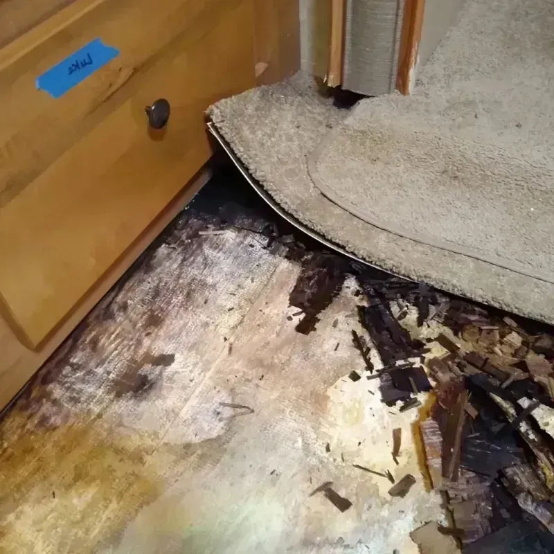 Wood Floor Water Damage in Cheney, WA